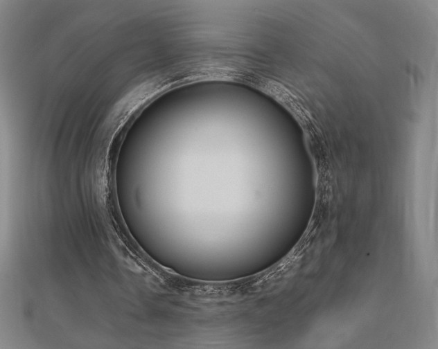 X0000112470338200908171203