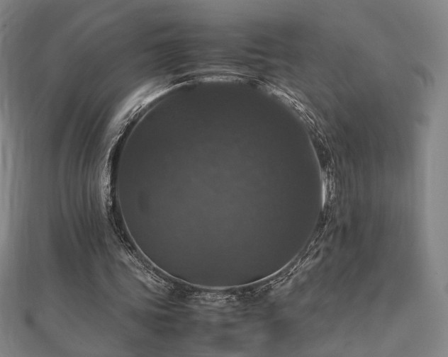 X0000112470339200908171203