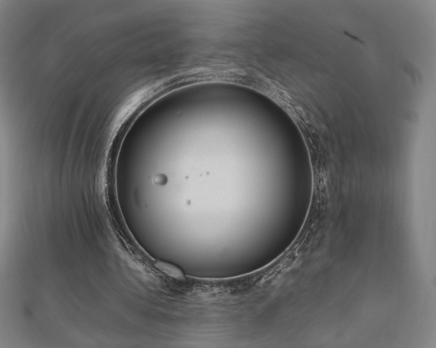 X0000112470340200908171203