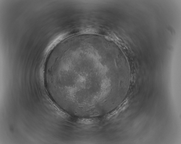 X0000112470341200908171203