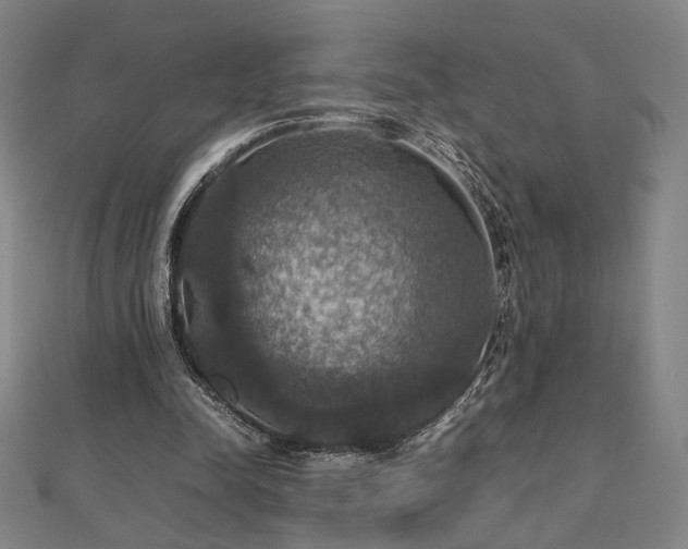 X0000112470342200908171203