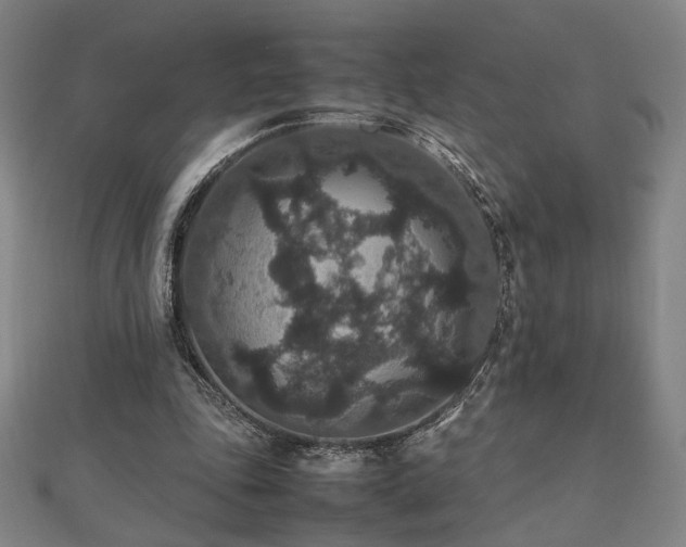 X0000112470343200908171203