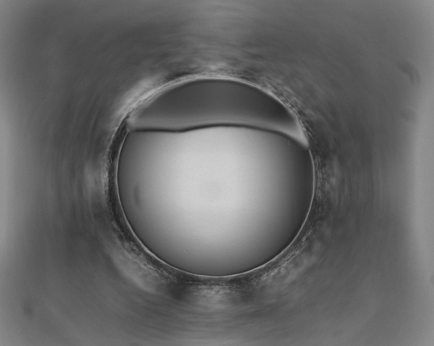 X0000112470344200908171203