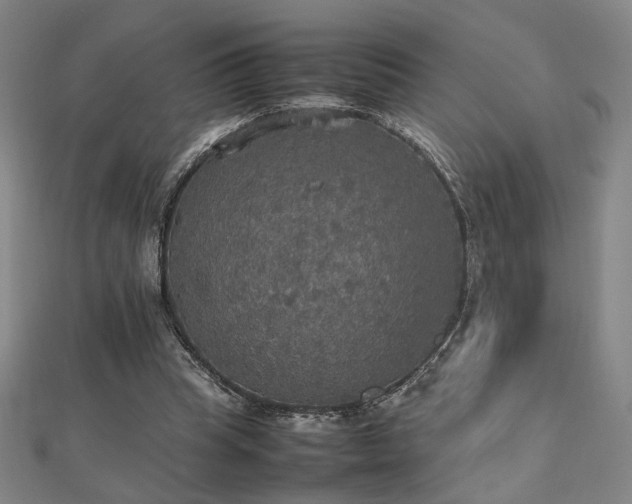 X0000112470345200908171203