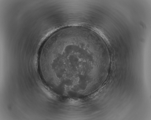 X0000112470346200908171203