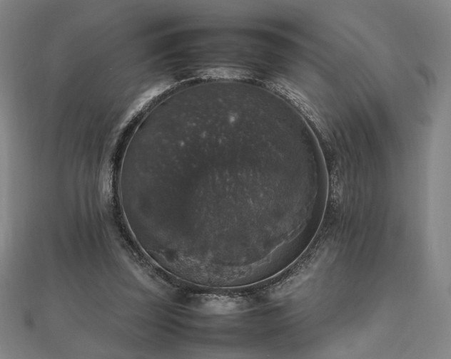 X0000112470347200908171203