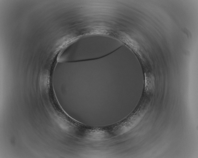 X0000112470348200908171203