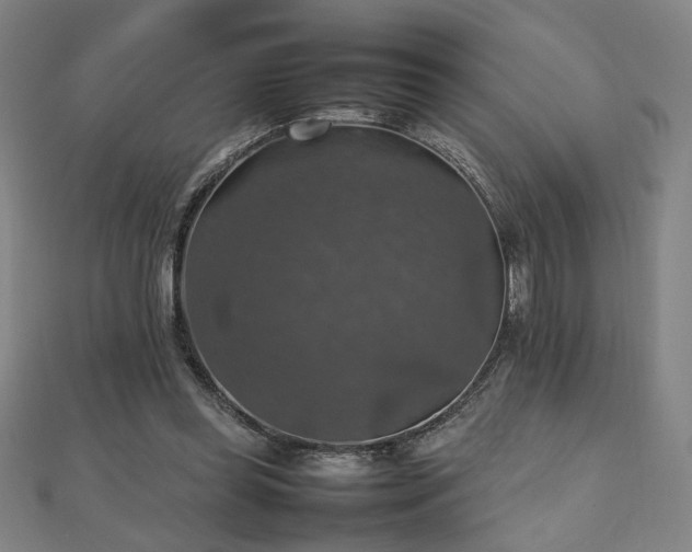 X0000112470349200908171203