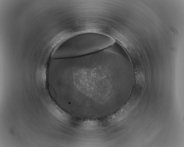 X0000112470350200908171203