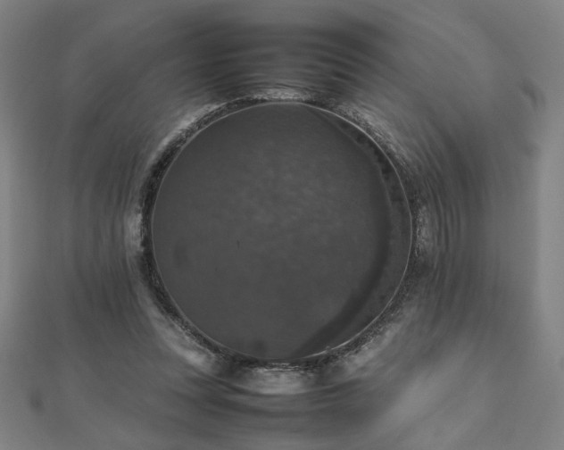 X0000112470351200908171203