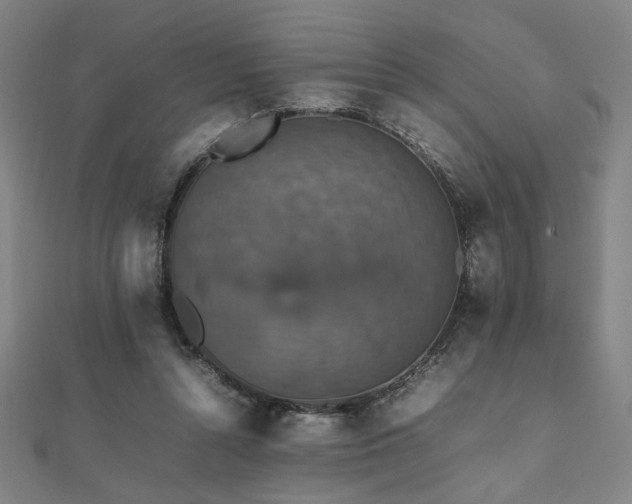 X0000112470352200908171203