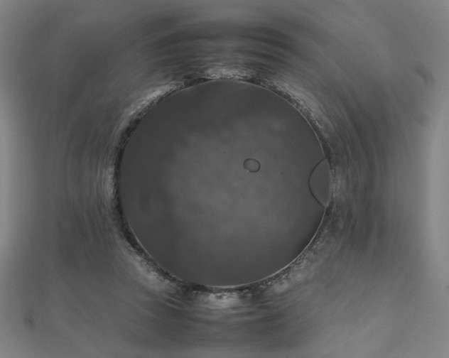 X0000112470353200908171203