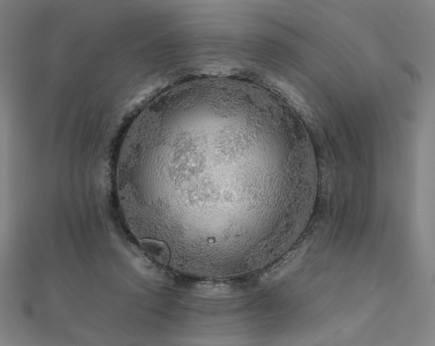 X0000112470354200908171203