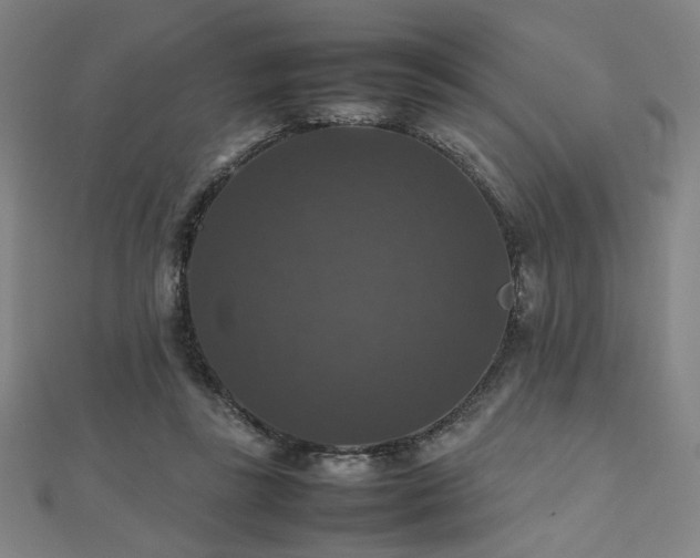 X0000112470355200908171203