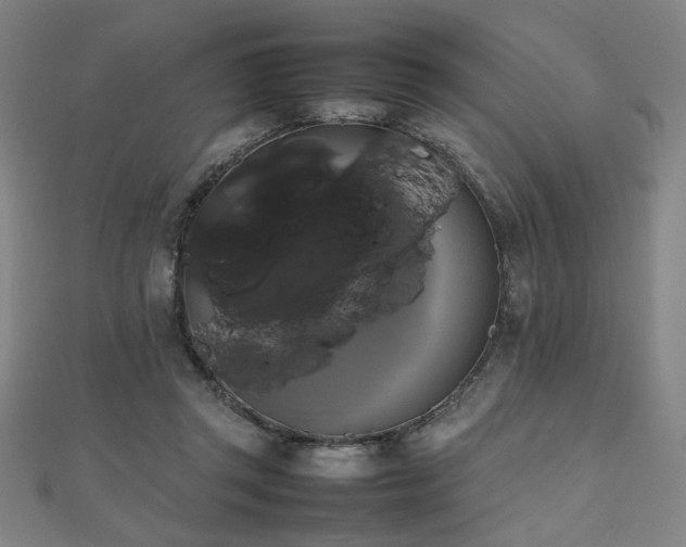 X0000112470357200908171203