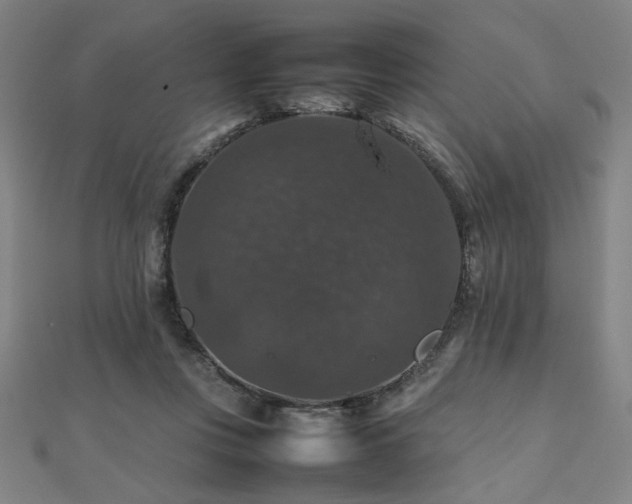 X0000112470359200908171203