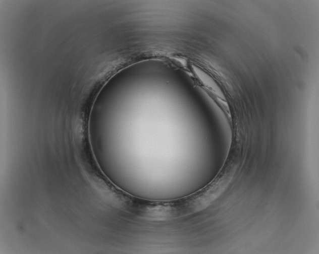 X0000112470362200908171203