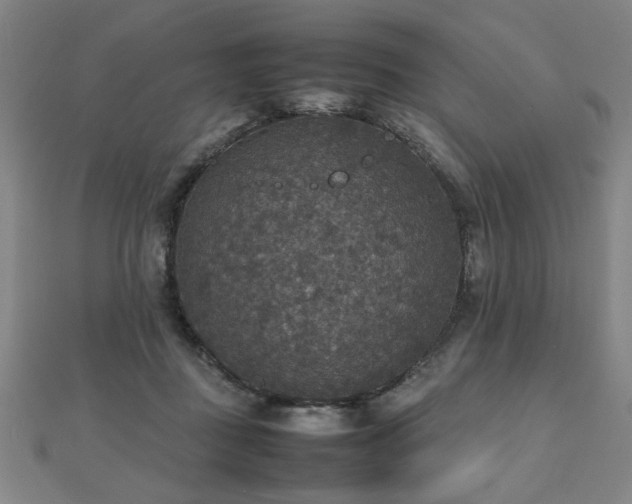 X0000112470363200908171203