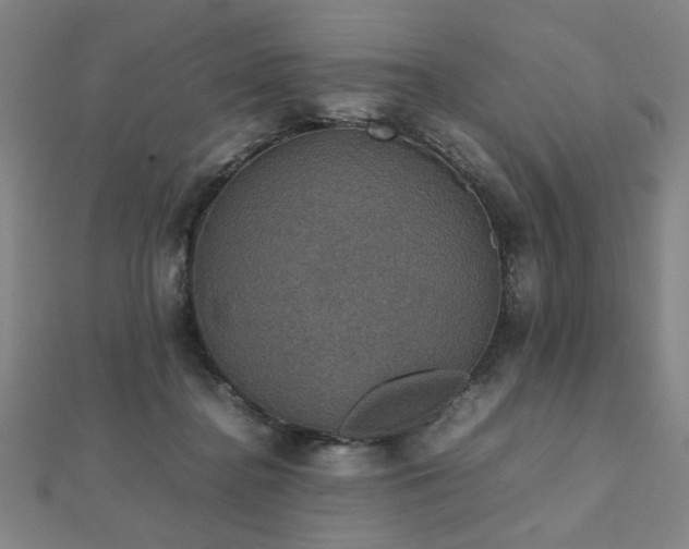 X0000112470364200908171203