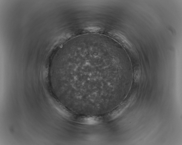 X0000112470365200908171203