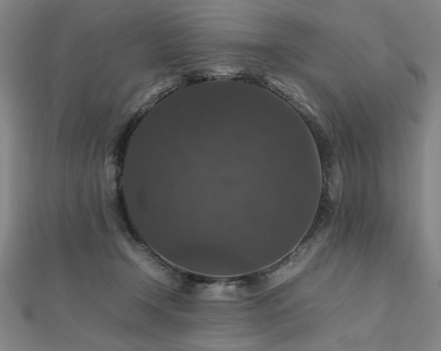 X0000112470366200908171203