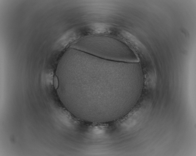 X0000112470368200908171203