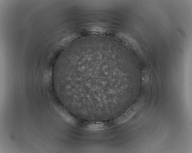 X0000112470369200908171203