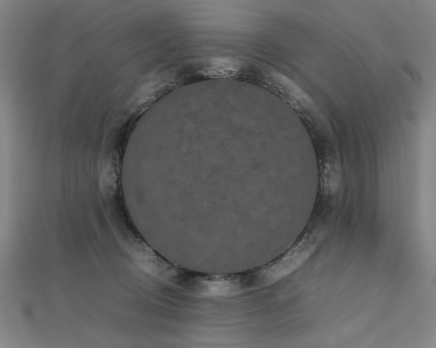 X0000112470370200908171203