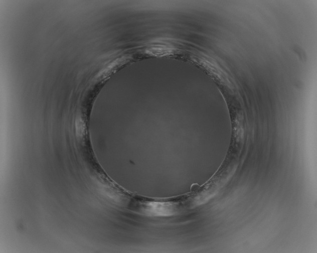 X0000112470371200908171203