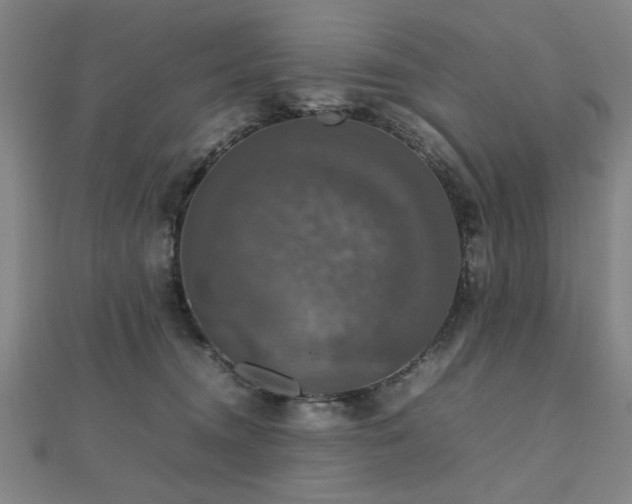 X0000112470372200908171203