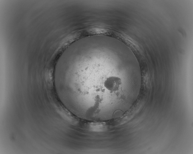 X0000112470373200908171203