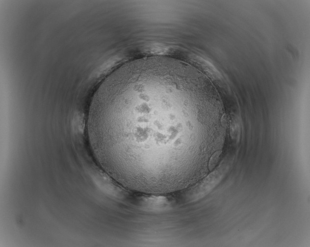 X0000112470374200908171203