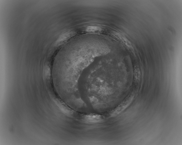 X0000112470375200908171203