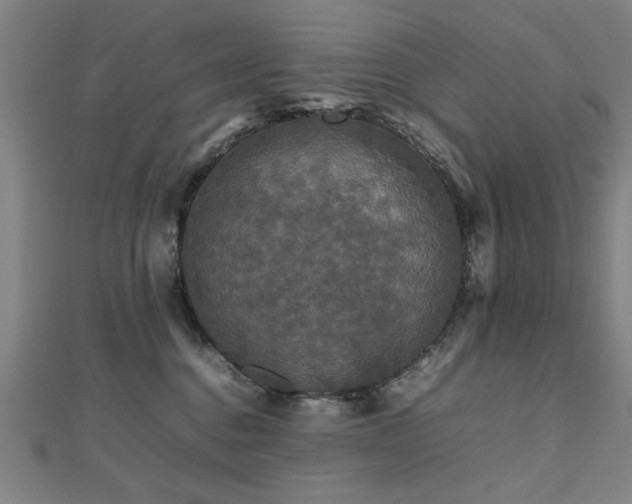 X0000112470376200908171203