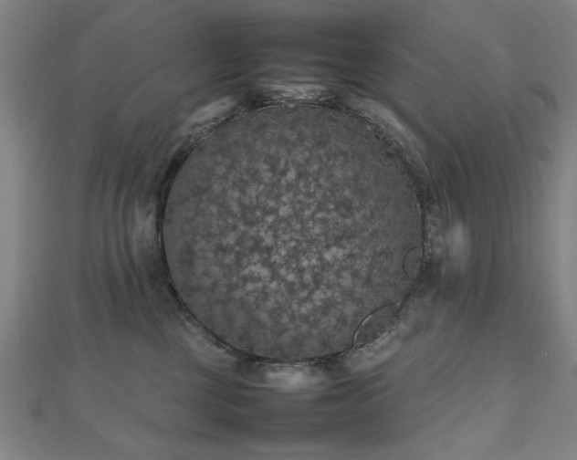 X0000112470377200908171203