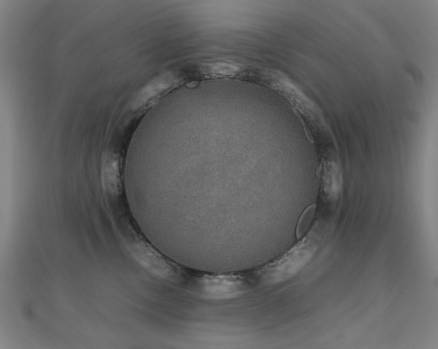 X0000112470378200908171203