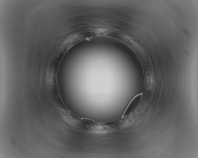 X0000112470379200908171203