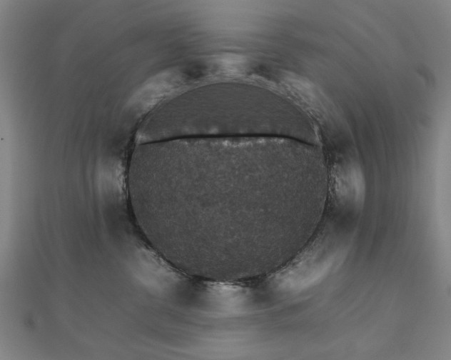 X0000112470380200908171203