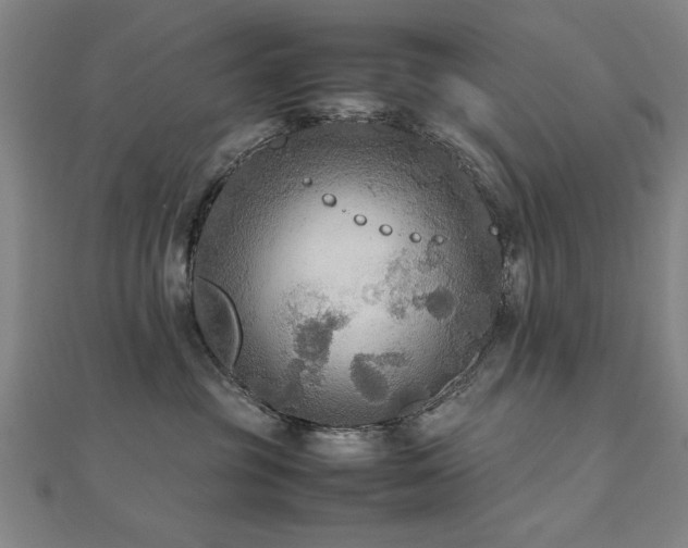 X0000112470381200908171203