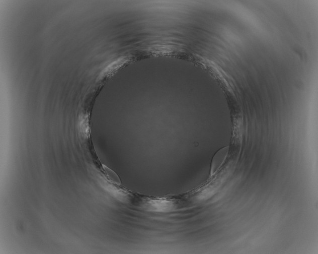 X0000112470383200908171203