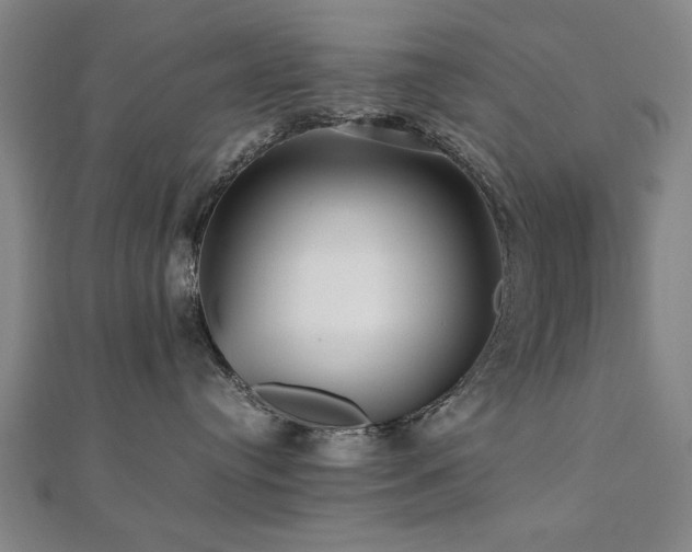 X0000112470384200908171203