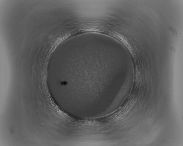 X0000112470385200908171203