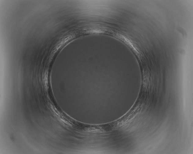 X0000112470386200908171203