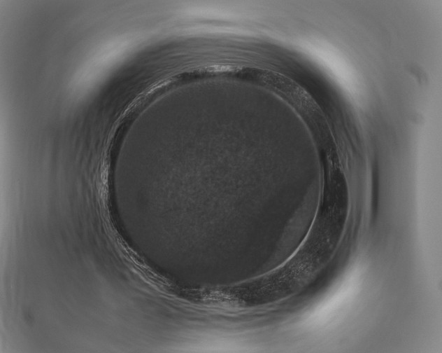 X0000112470387200908171203