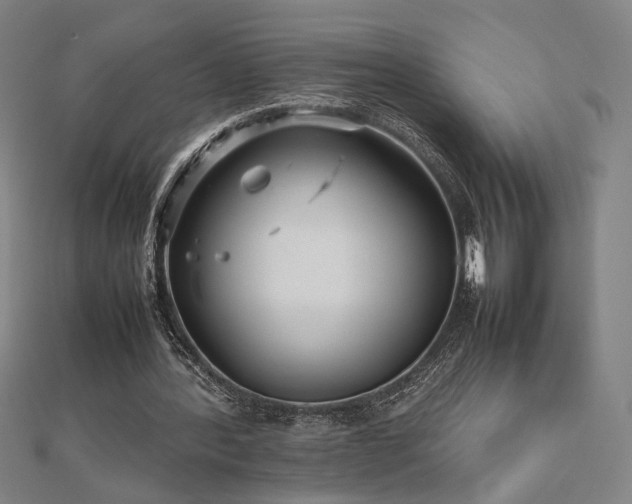 X0000112470388200908171203