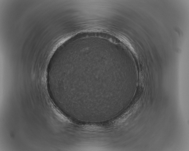 X0000112470389200908171203