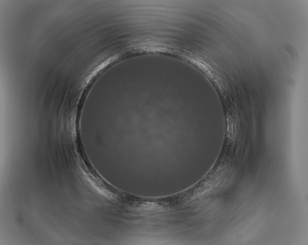 X0000112470390200908171203