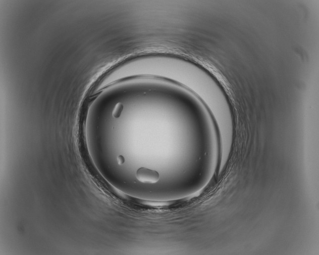 X0000112470391200908171203