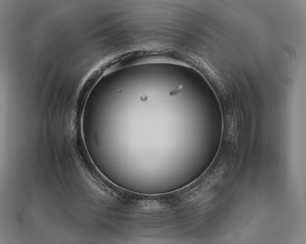 X0000112470392200908171203