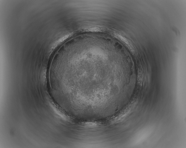 X0000112470394200908171203